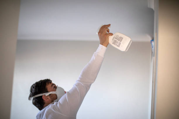 Best Mold Removal Company Near Me  in Byron, IL