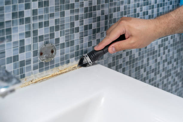 Best Toxic Mold Removal  in Byron, IL